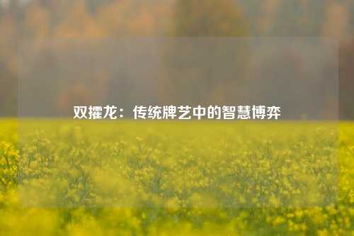双攉龙：传统牌艺中的智慧博弈