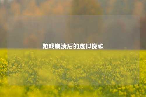 游戏崩溃后的虚拟挽歌