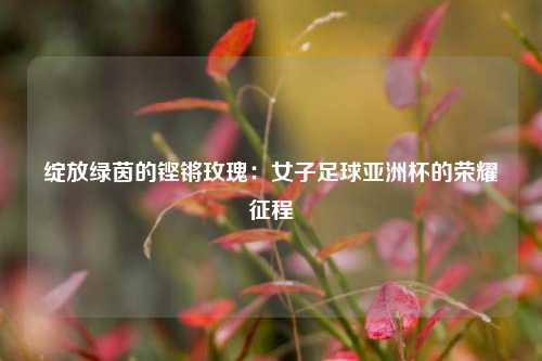 绽放绿茵的铿锵玫瑰：女子足球亚洲杯的荣耀征程