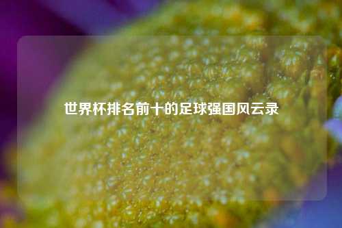世界杯排名前十的足球强国风云录