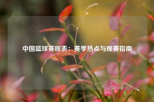 中国篮球赛程表：赛季热点与观赛指南