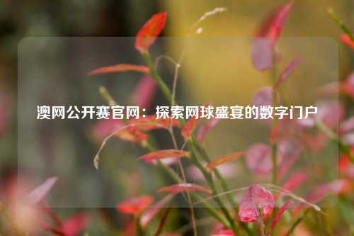 澳网公开赛官网：探索网球盛宴的数字门户