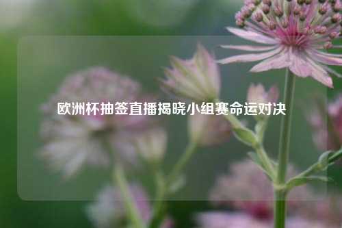 欧洲杯抽签直播揭晓小组赛命运对决