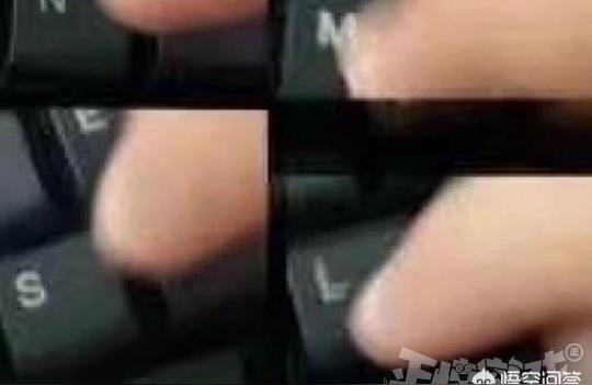 lolwaigua,没想到挖出上千万产业链遍布全国