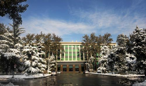 微子基金(中国的基础科学家)